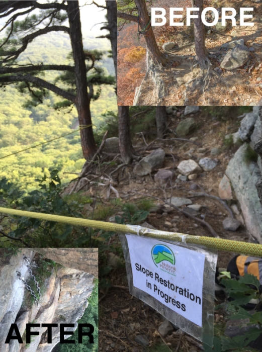 The climb Baby, which was exhibiting erosion, was roped off and new bolted anchors were placed below the damaged tree. The new anchor enables climbers to use a lower risk anchor and avoid having an impact on the fragile zone at the top of the cliff. Photo courtesy of the Gunks Climbers’ Coalition