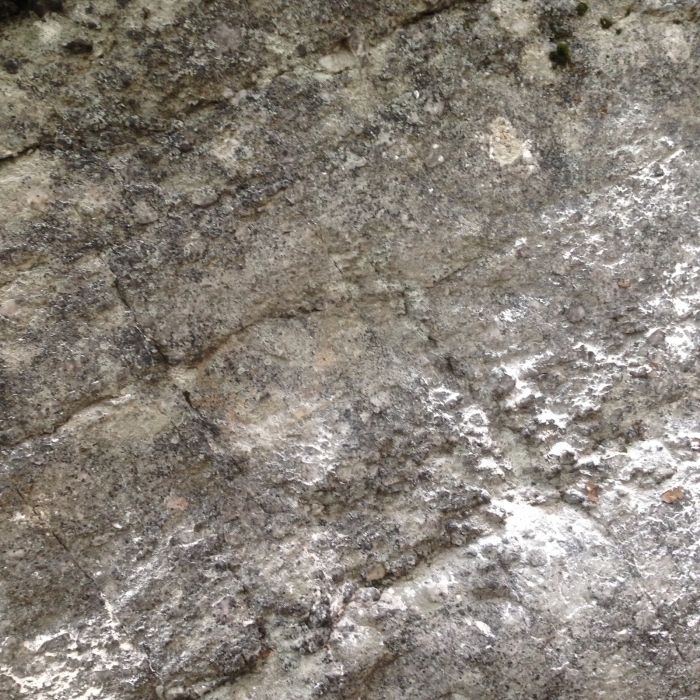 This photo contains five bolt holes that were filled, patched, and camouflaged by participants. Photo courtesy of the Gunks Climbers’ Coalition